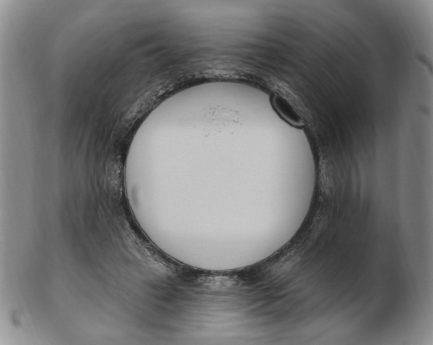 X0000102870449200809081209