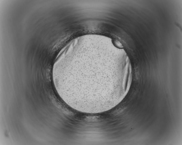 X0000102870450200809081209