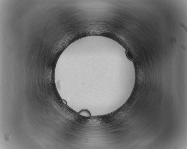 X0000102870451200809081209