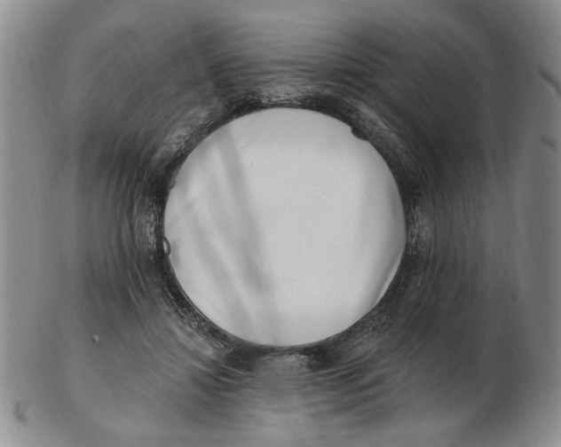 X0000102870452200809081209