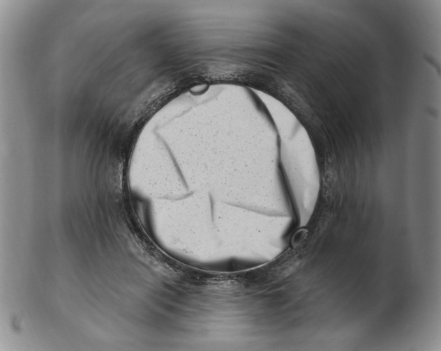 X0000102870454200809081209