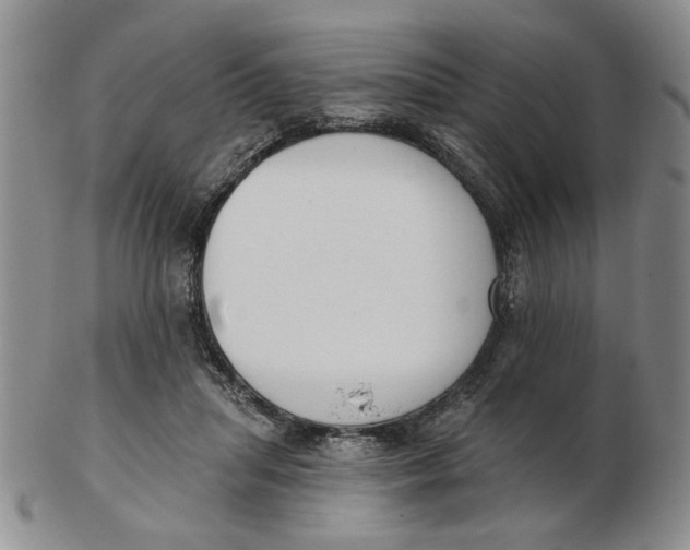 X0000102870455200809081209