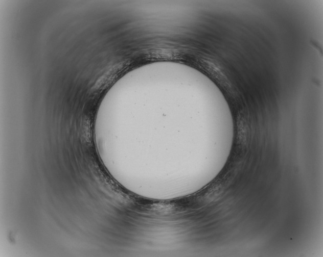 X0000102870457200809081209