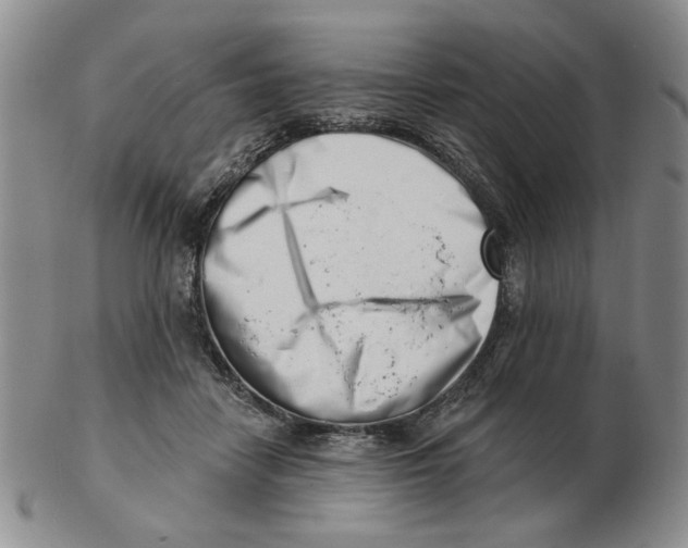 X0000102870458200809081209