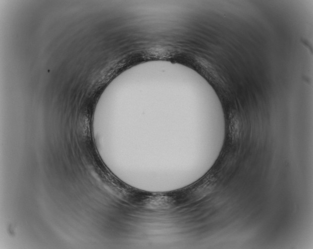 X0000102870459200809081209