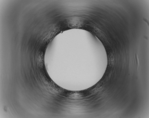 X0000102870460200809081209