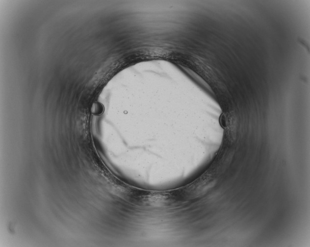 X0000102870462200809081209