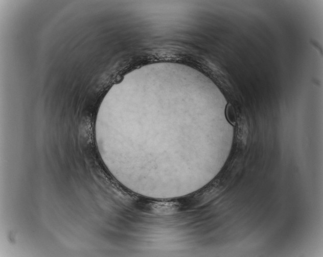 X0000102870465200809081210