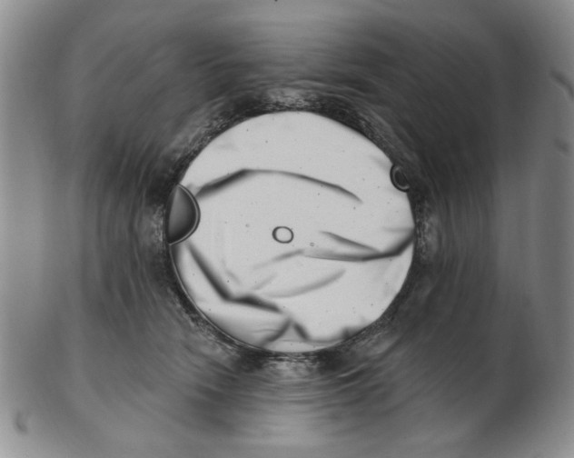 X0000102870466200809081210