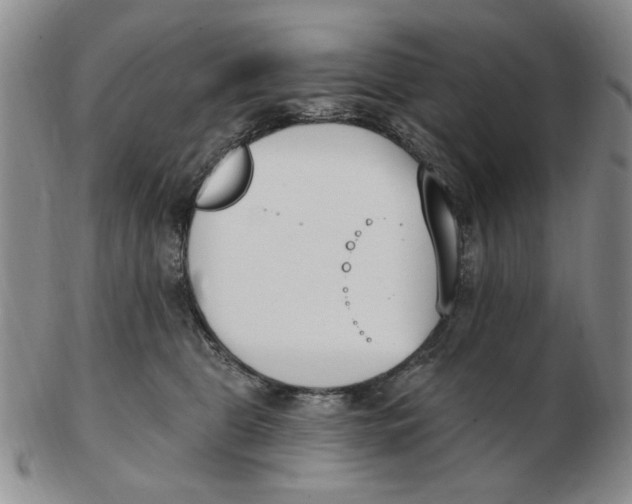 X0000102870469200809081210