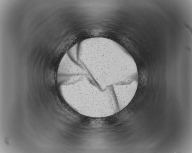 X0000102870470200809081210