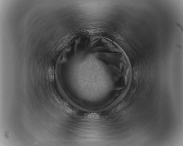 X0000102870471200809081210