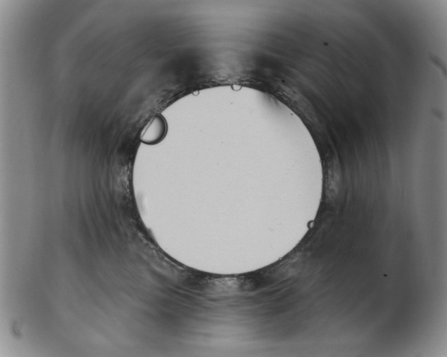 X0000102870473200809081210