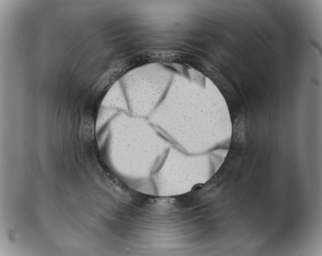 X0000102870474200809081210