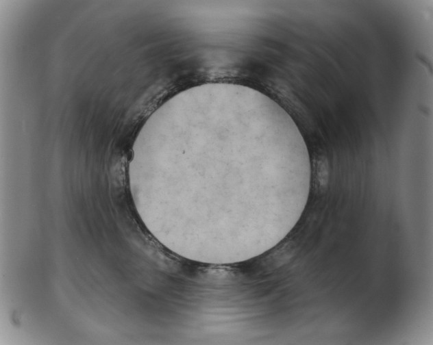 X0000102870475200809081210