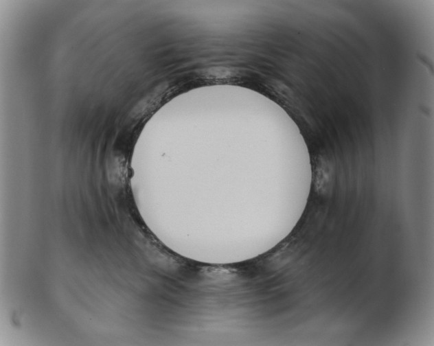 X0000102870476200809081210