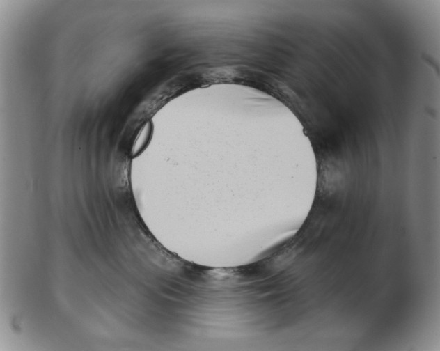 X0000102870477200809081210