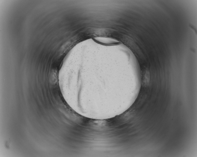 X0000102870478200809081210