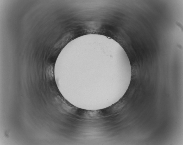 X0000102870479200809081210