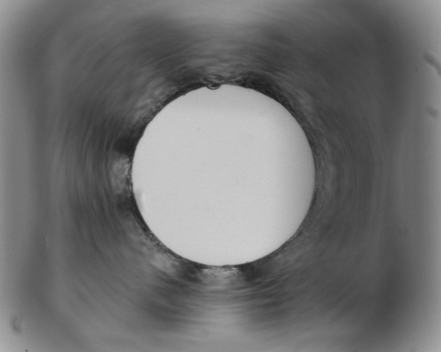 X0000102870480200809081210