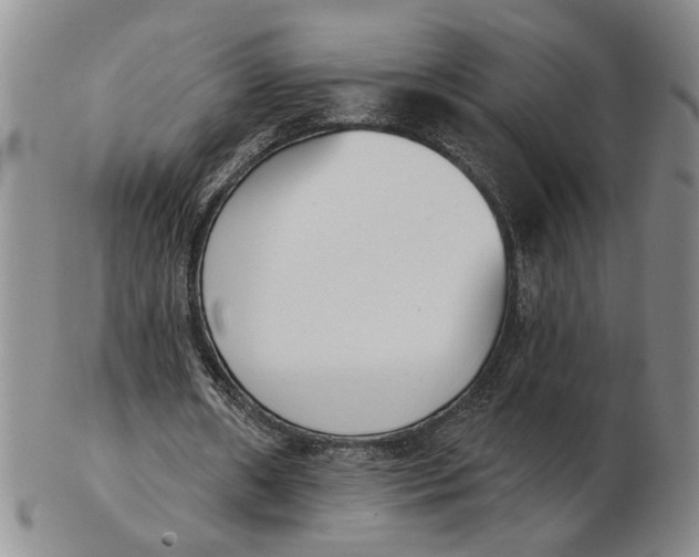 X0000102870482200809081209