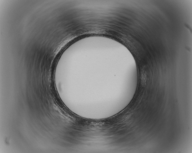 X0000102870484200809081209