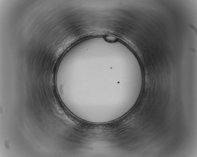 X0000102870485200809081209