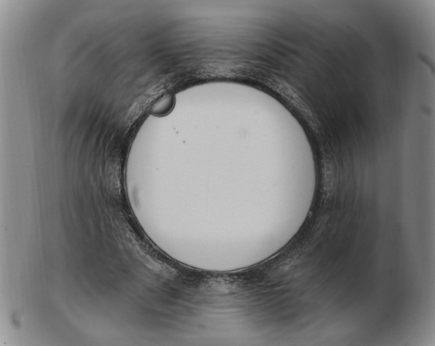 X0000102870489200809081209