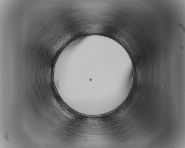 X0000102870490200809081209