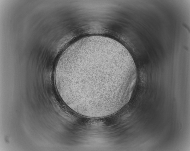 X0000102870491200809081209