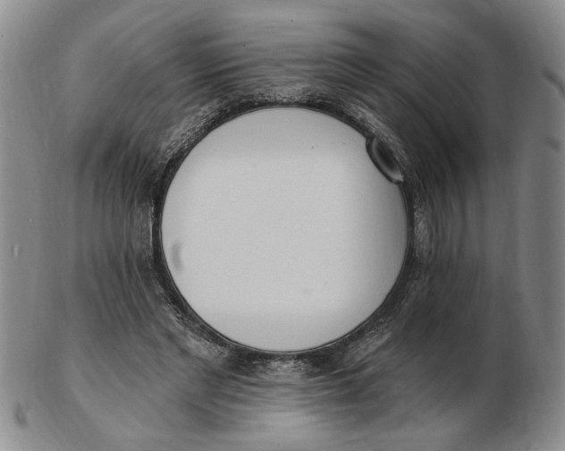 X0000102870493200809081209