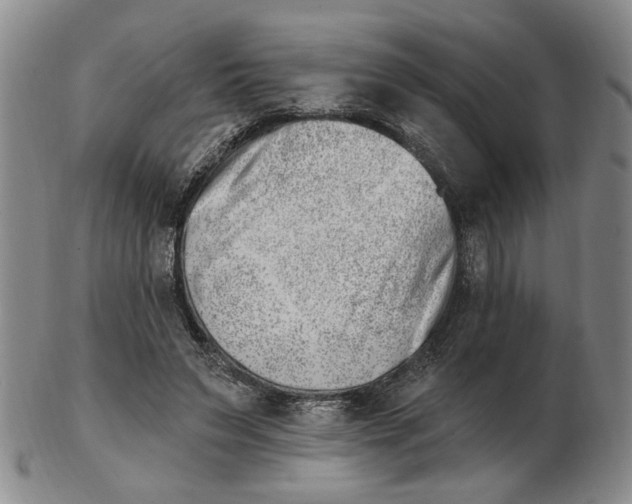 X0000102870495200809081209