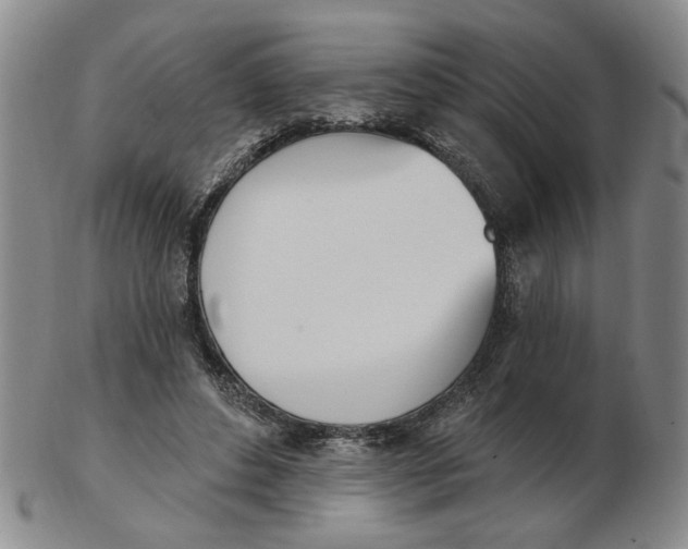 X0000102870496200809081209