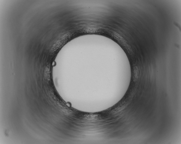 X0000102870497200809081209