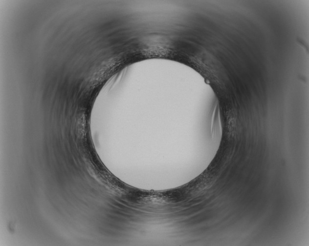 X0000102870498200809081209