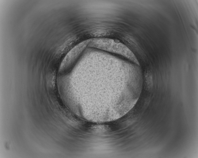 X0000102870499200809081209