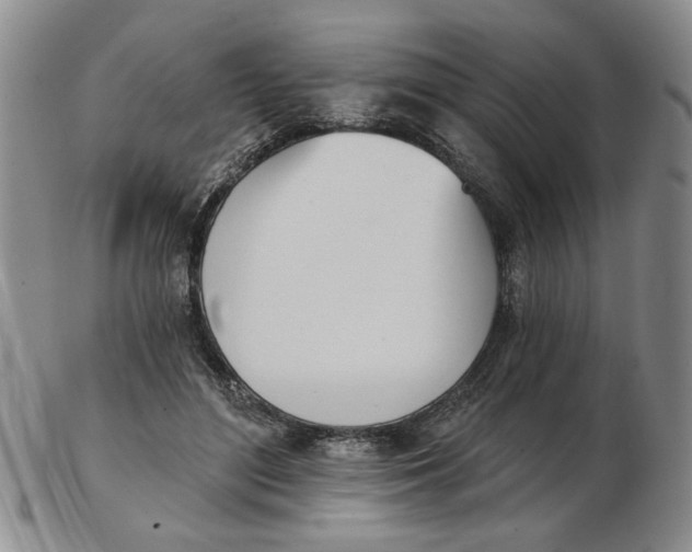 X0000102870500200809081209