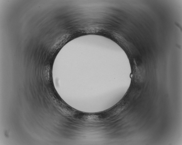 X0000102870501200809081209