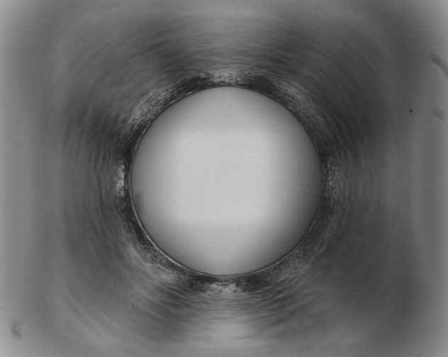 X0000102870502200809081209