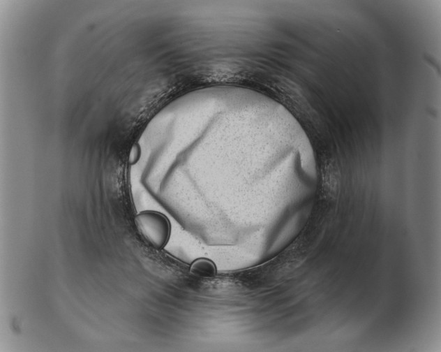 X0000102870503200809081209