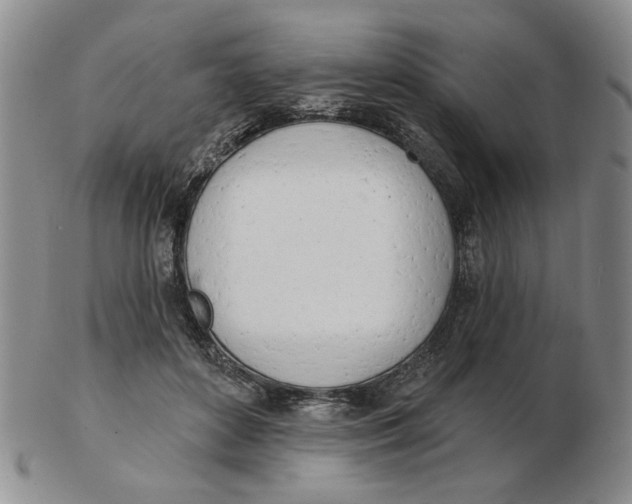 X0000102870504200809081209