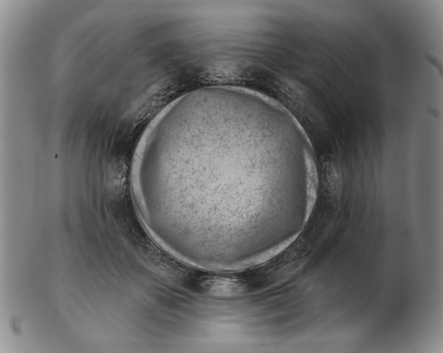 X0000102870507200809081209