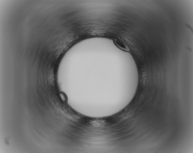 X0000102870508200809081209