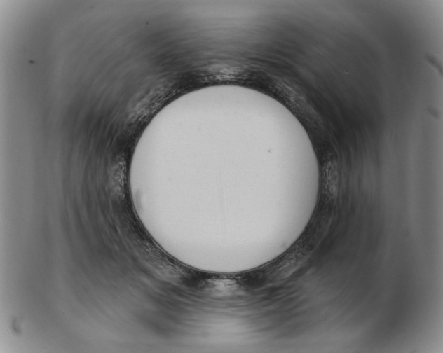 X0000102870509200809081209