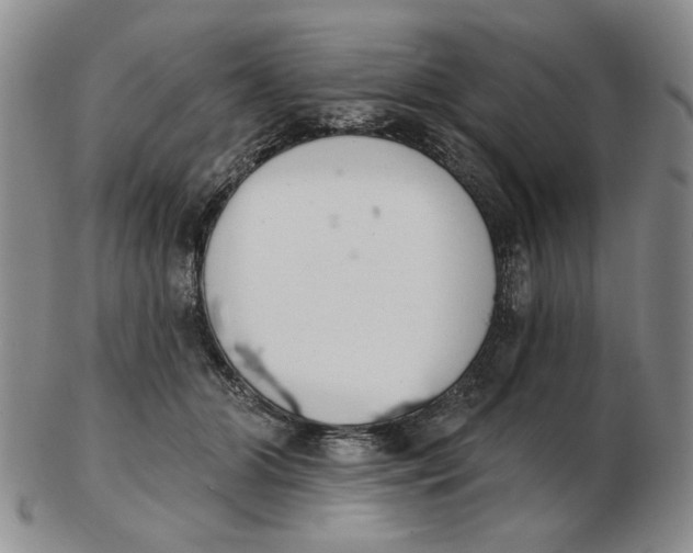 X0000102870510200809081209