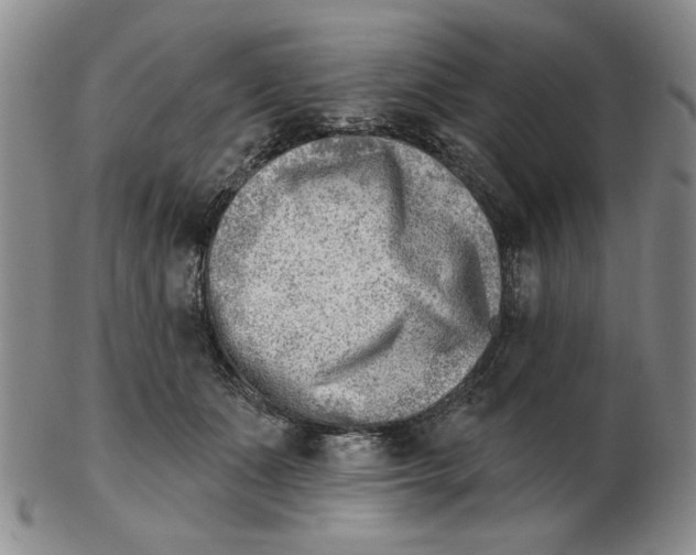 X0000102870511200809081208