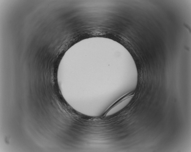 X0000102870512200809081208