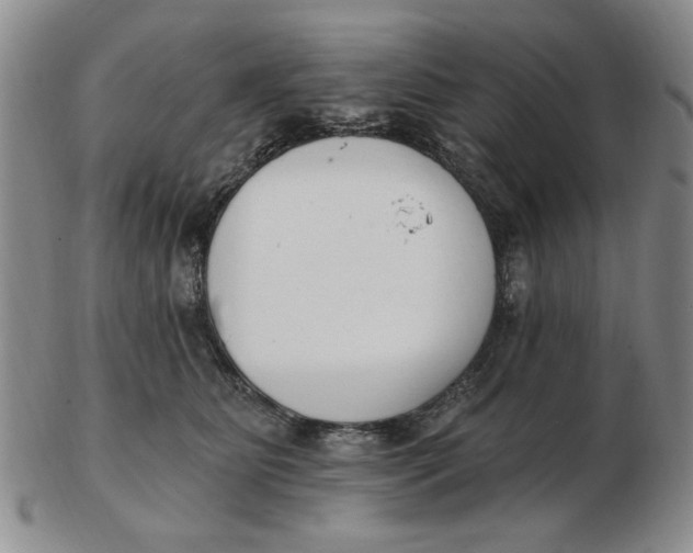 X0000102870515200809081208