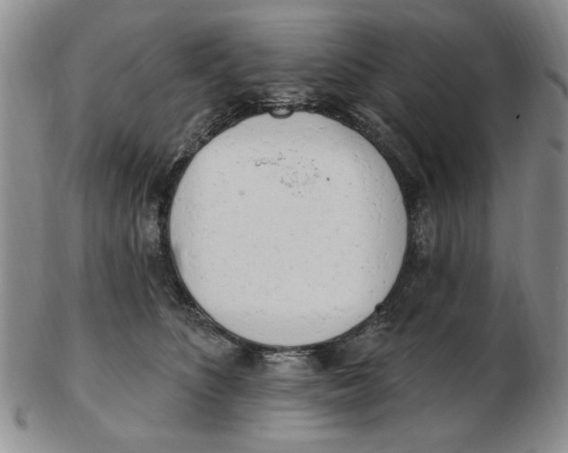 X0000102870516200809081208