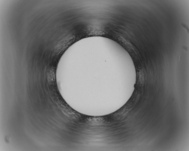 X0000102870517200809081208